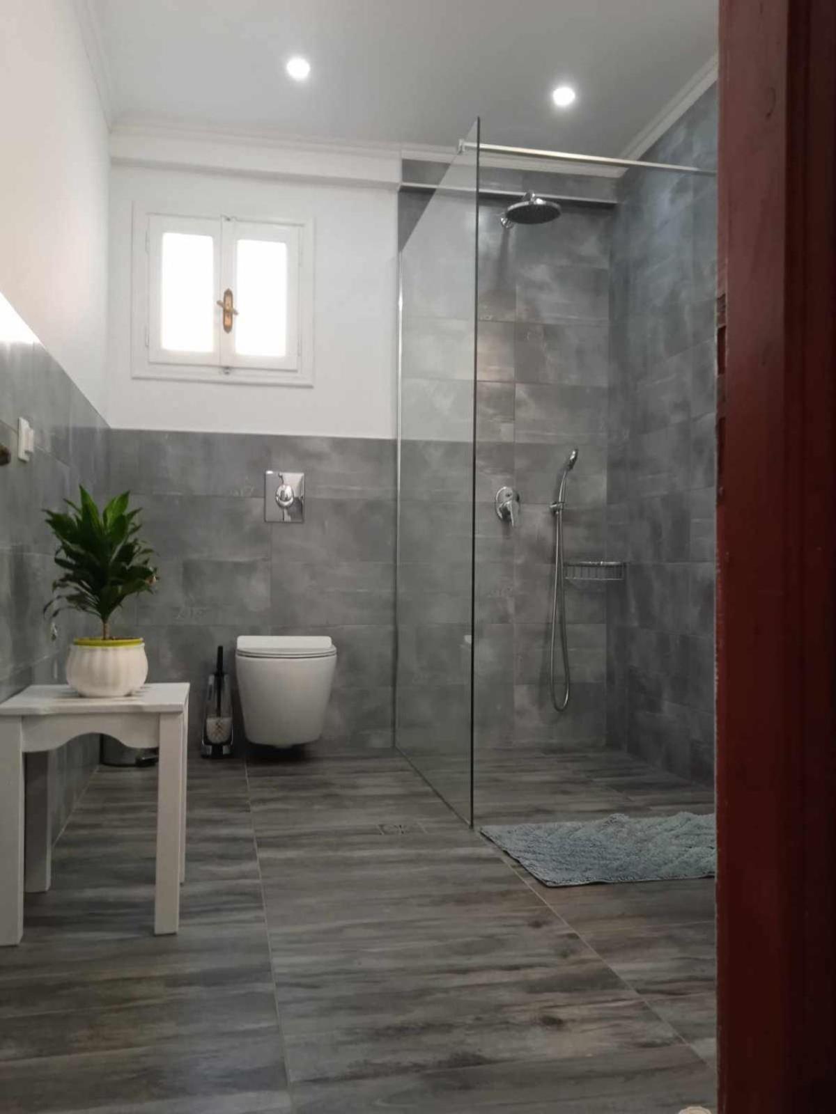 איפסוס Iren Holiday Apartment מראה חיצוני תמונה